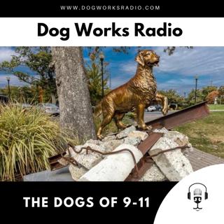 The Dogs of 9-11