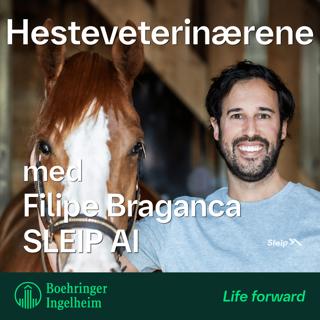 Objektiv bevegelsesanalyse med Filipe Braganca fra SLEIP