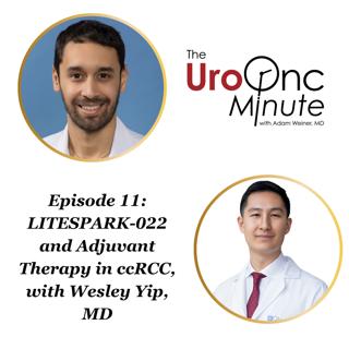 The UroOnc Minute: LITESPARK-022 and Adjuvant Therapy in ccRCC, with Wesley Yip, MD
