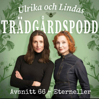 Avsnitt 66 - Eterneller