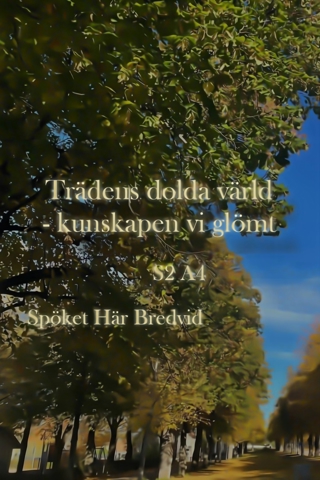 Trädens dolda värld - kunskapen vi glömt