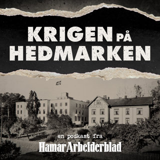 Det vågale kuppet på Hamar sykehus