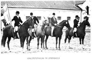 Avsnitt 25. Om SWBs historia – del 2