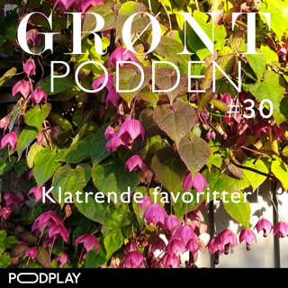 #30 Klatrende favoritter