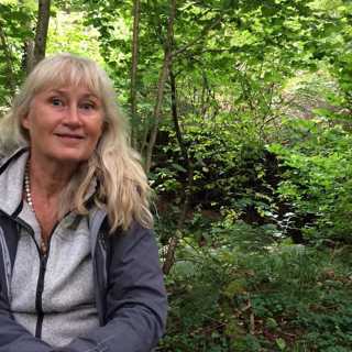 Naturvanor i vardagen, heliga skogar och ett skotskt fågelberg