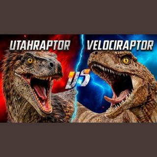 Velociraptor vs Utahraptor