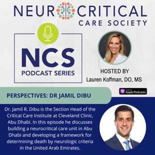 PERSPECTIVES: Dr Jamil Dibu