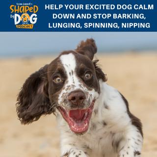 Help Your Excited Dog Calm Down And Stop Barking, Lunging, Spinning, Nipping #136