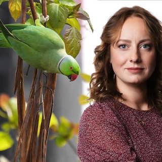 Mysteriet med fåglarna i Londons parker: Stephanie Zakrisson, London