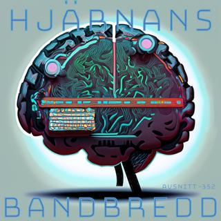 Avdnitt 353 - Hjärnans bandbredd
