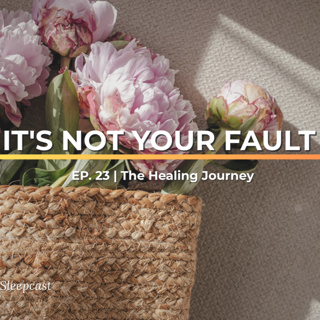 Ep23: Why Responsibility Is Not the Same as Blame | The Healing Journey