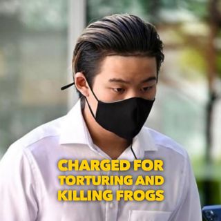 #253: Charged For Torturing And Killing Frogs