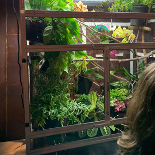 113: Chameleon Cage Size & Material