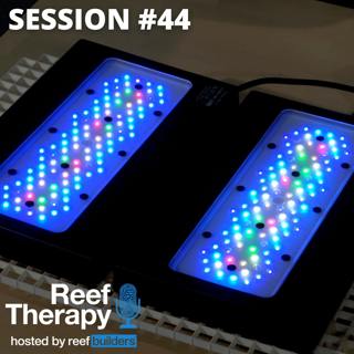 Radion G6 and Finer Points of Lighting