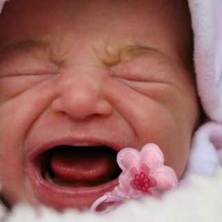 Varför skaffar vi barn?