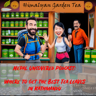 Where to Buy the Best Tea Leaves in Nepal with the Tea Connoisseur of Kathmandu