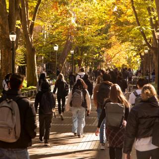 Where Do America’s Colleges Go From Here?