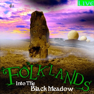 Into The Black Meadow