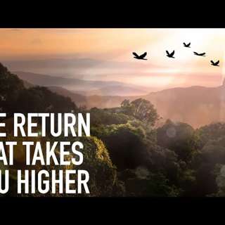 The Return That Takes You Higher