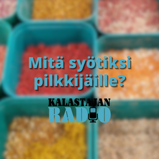 Mitä syötiksi pilkkijäille?