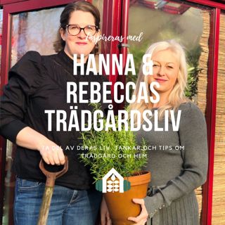 Avsnitt 120 – Vinterträdgård