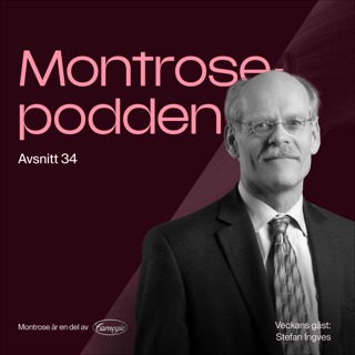 #34 - Stefan Ingves: En penningpolitisk odyssé från finanskris till pandemi och globala räddningsuppdrag