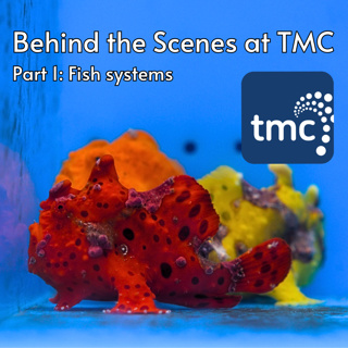 Behind the Scenes at TMC with CEO Brian Schaff | Part 1: Fish Systems