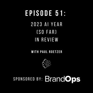 #51: 2023 AI Year (So Far) in Review