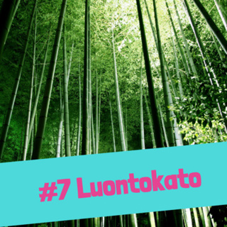 Luontokato