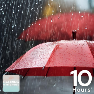 Relaxing Rain Sounds on Umbrella | 10 Hour Study and Relaxation ASMR