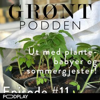 #11 Herding av plante-babyer og sommergjester