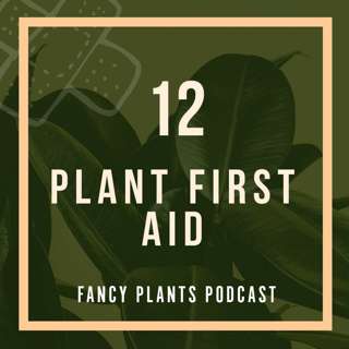 12. Plant First Aid