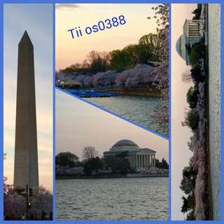 Tii - iTem 0388 - iOS 9.3.1 and iPhone SE