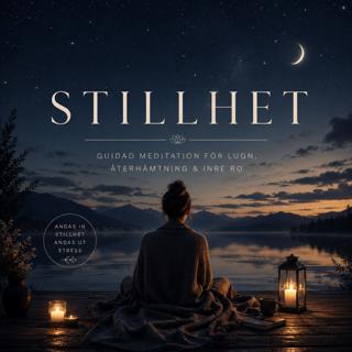 Stillhet