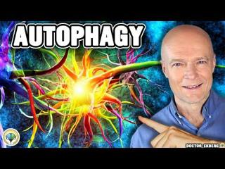 #1 Absolute Best Way To Extend A Fast & Boost Autophagy