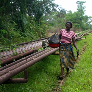 Sub-Saharan Africa: The Path to Recovery