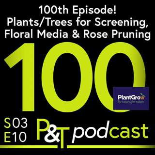 100th Episode! Reclaiming the Chrysanthemum, Dahlia Just from Seed & Screening Options?