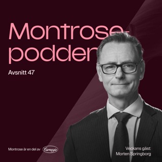 #47 - Morten Springborg: hotet mot US Exceptionalism och vad det innebär för passiva indexflöden!