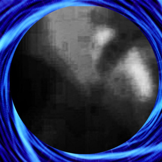 Another Insectoid Discovered in Las Vegas Alien Video by French UFO Researcher