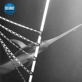 Alvin v. the swordfish