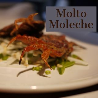 Molto Moleche