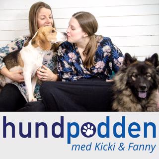 Solgula, skogsgröna, eldröda, havsblå hundar och hundägare! - med Annika R Malmberg