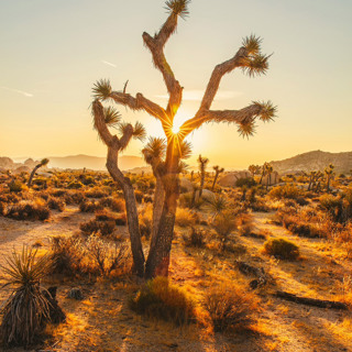 HE GETS US - Homily First Sunday of Lent - Feb 18, 2024