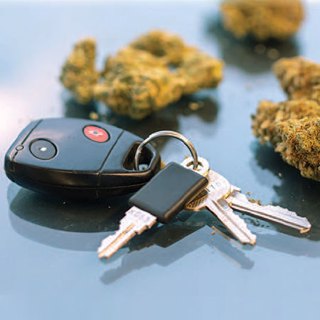 The Effect of Cannabis Intoxication on Driving Ability