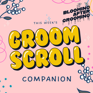 Groom Scroll: Companion