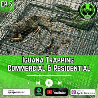 Trapping Iguanas: Best Practices for Homeowners and Businesses