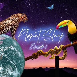 2: The Magical Amazon Rainforest