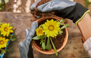 Ep. 176 Planning and Preparing a Garden for Spring