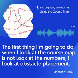 393: Using the Course Map