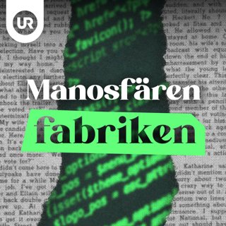 Så används manosfären för att destabilisera demokratin